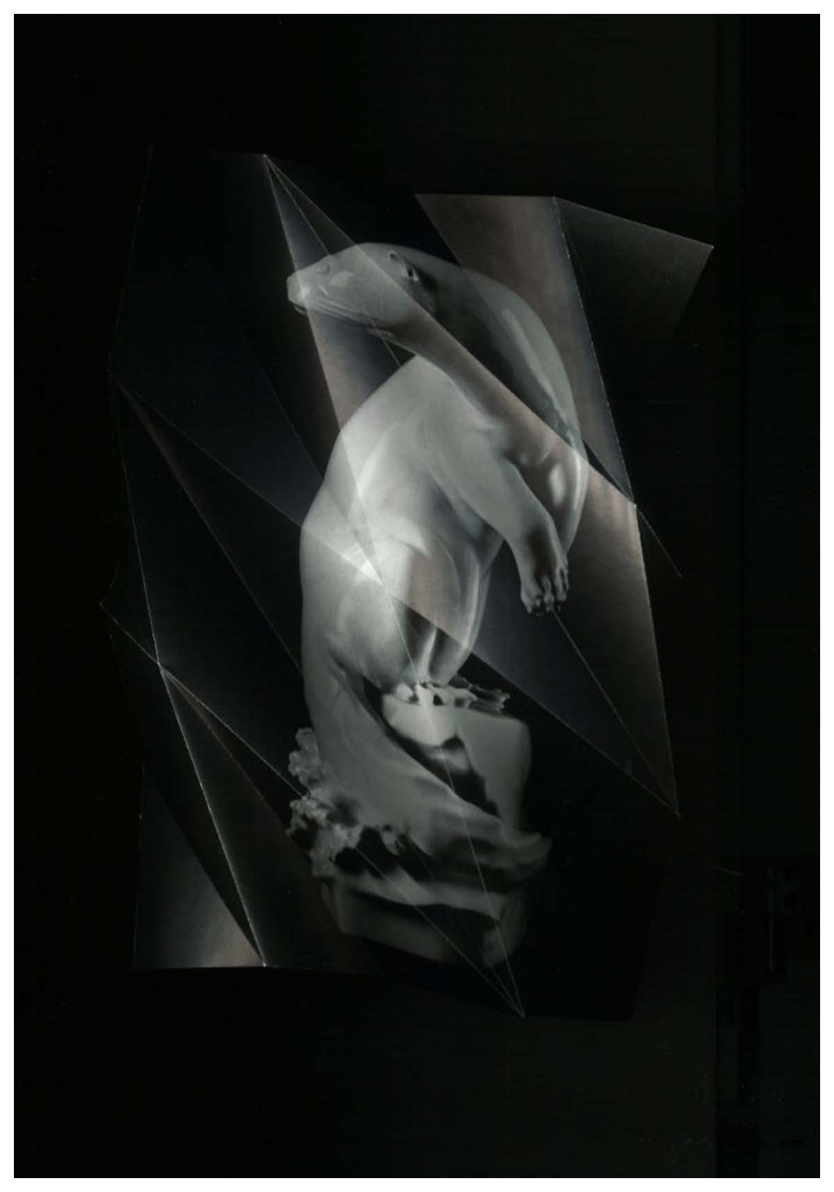 o.T. (aus der Serie White Gold)