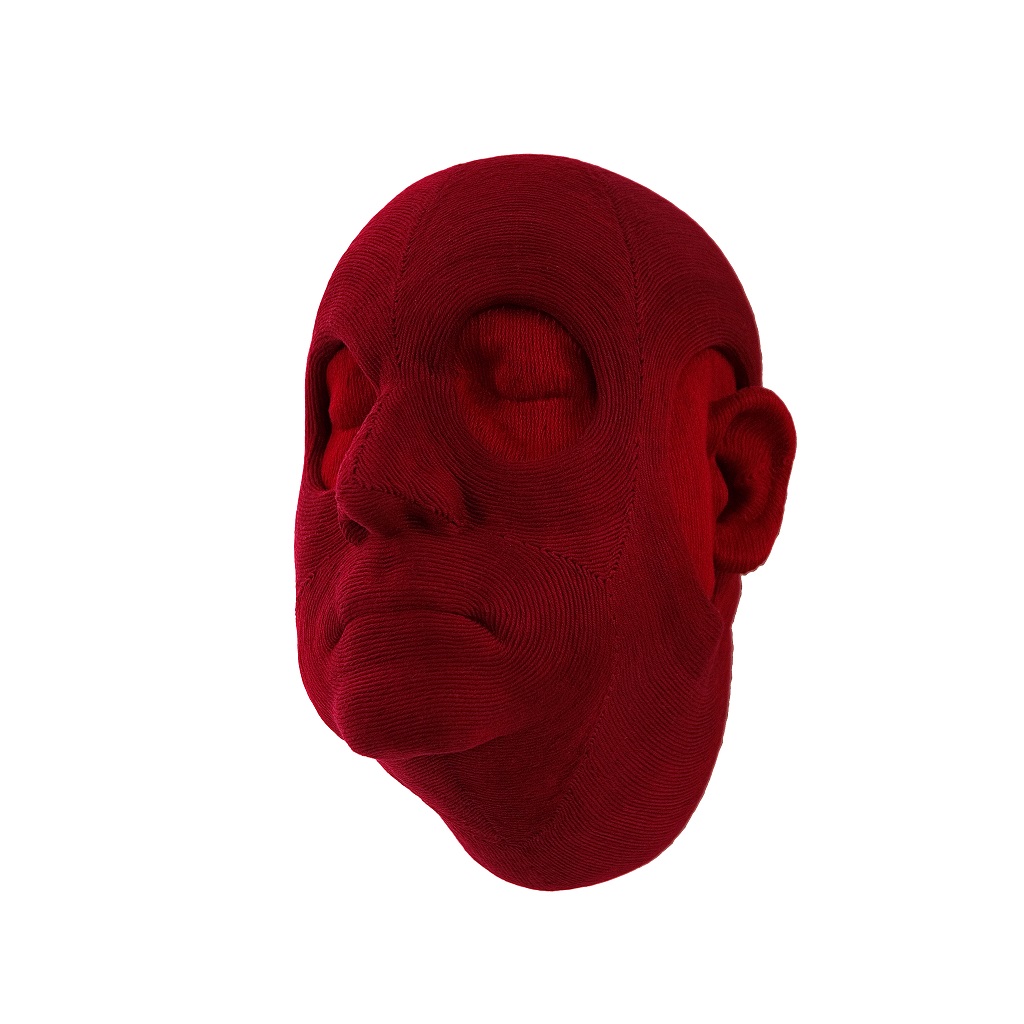 Retratos de Héctor Velázquez Velázquez y Héctor Velázquez  Gutiérrez /Aus der Serie Xipe Totec, 2003 - 2011