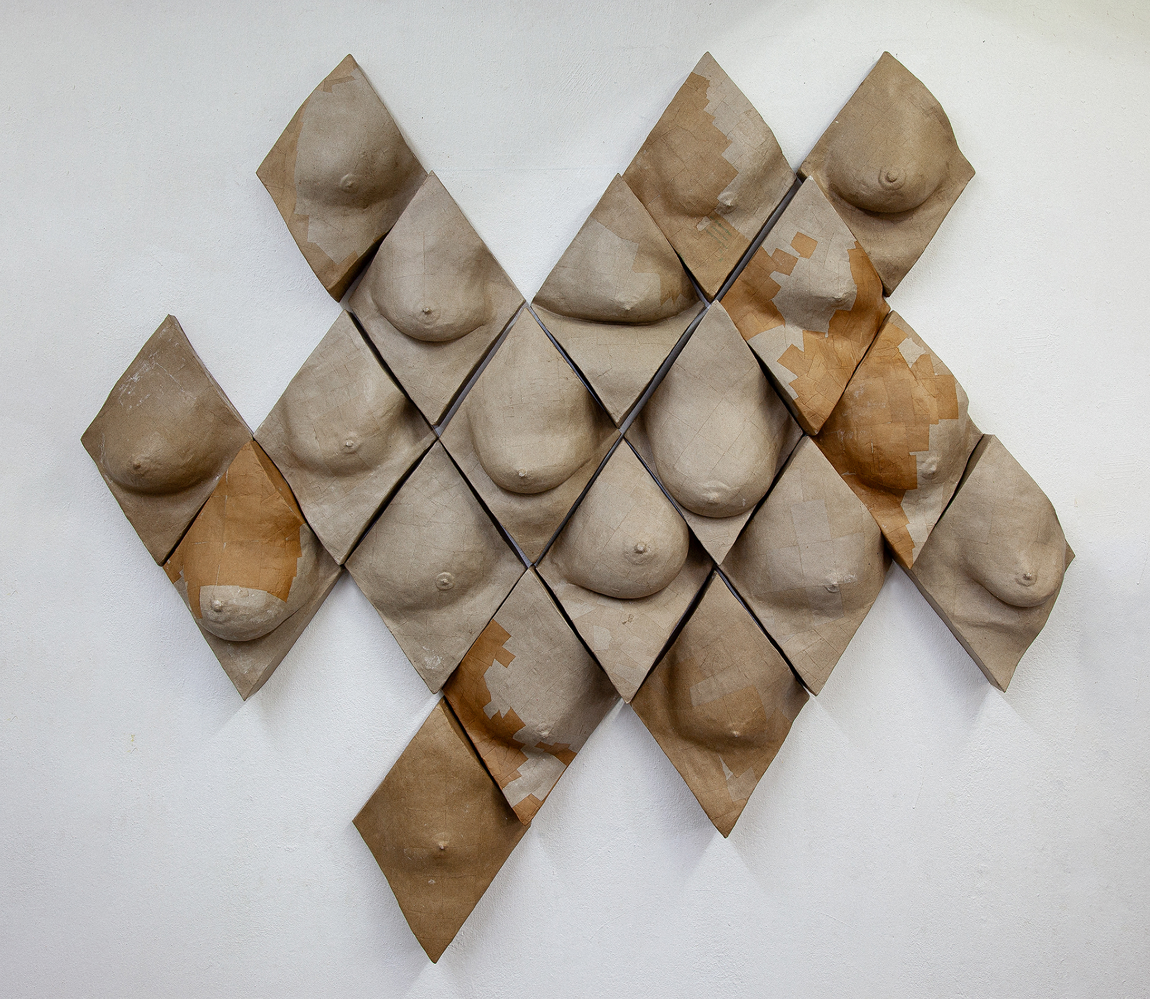 Various shapes and sizes