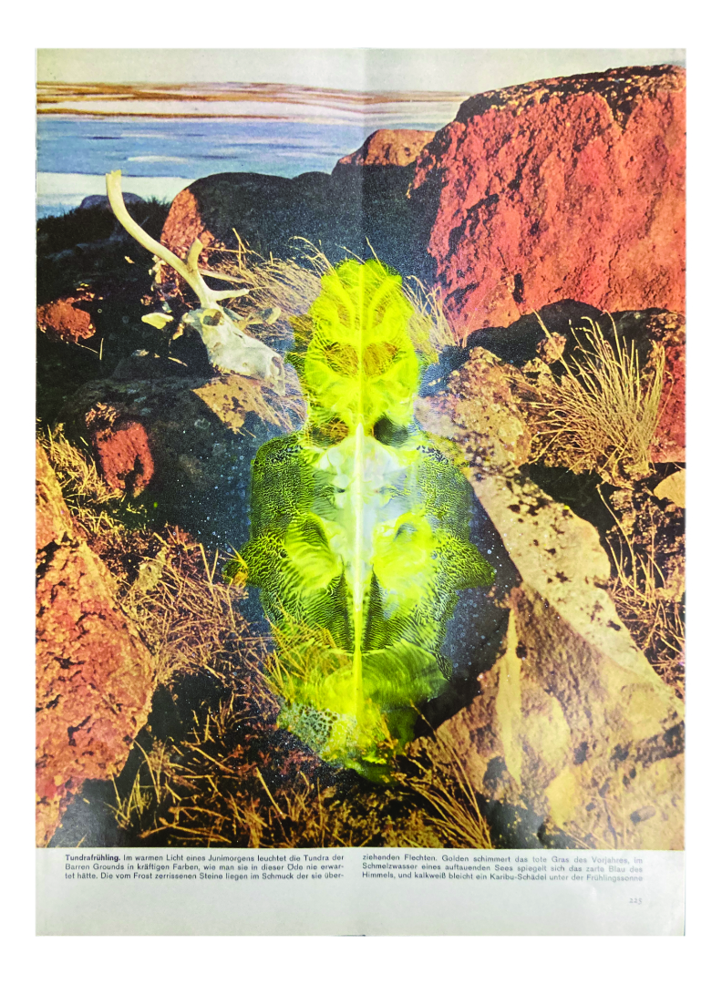 InkenTundra___aus_der_Serie__Die_Welt__in_der_wir